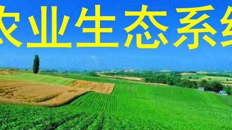 粮食种子种植技术流程全解析