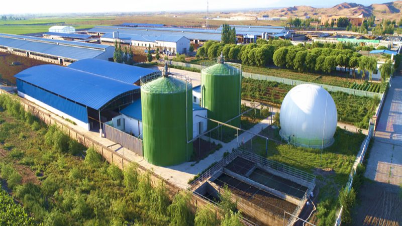 优质的水果种植公司应具备以下技术实力：
