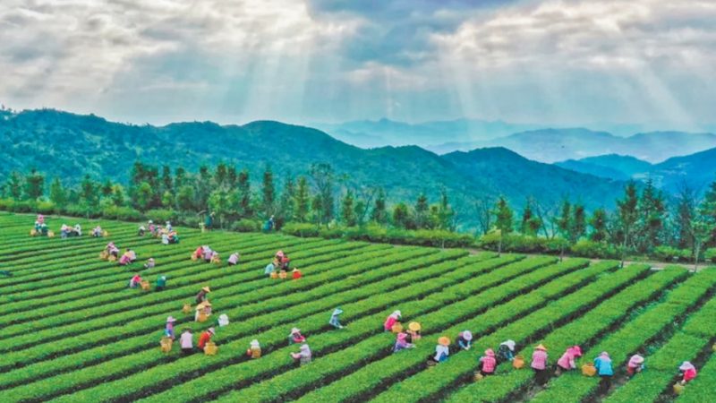市场口碑是衡量合作伙伴实力的重要指标。可以从以下几个方面了解：