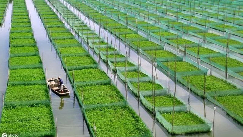 农产品电商运营参数设置：揭秘电商流量密码