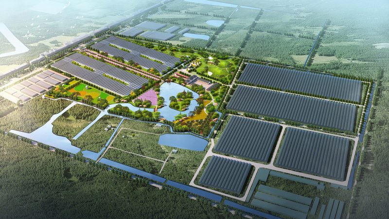 成都小型农产品批发商起步攻略：从选址到运营关键点