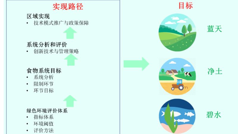 阳新县生态农业专业合作社