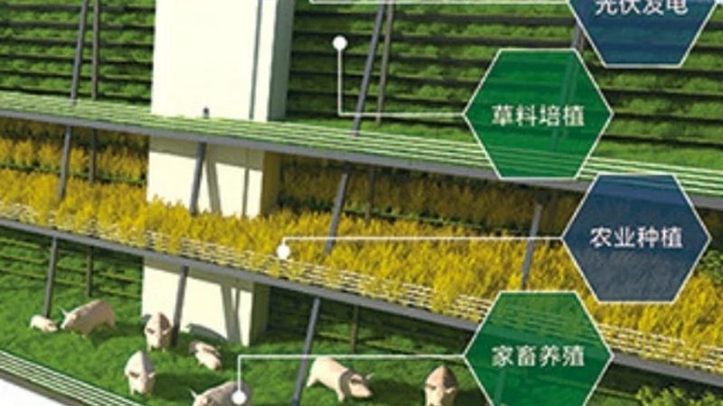 农民专业合作社设立：标准规范与关键要素**