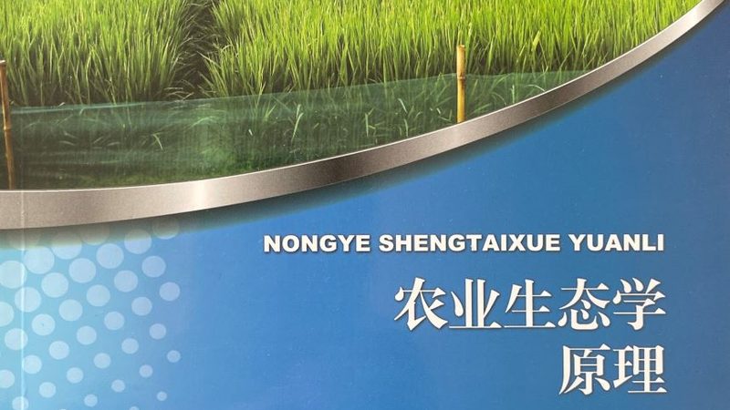 粮食种子优劣区别：如何科学甄别与选择