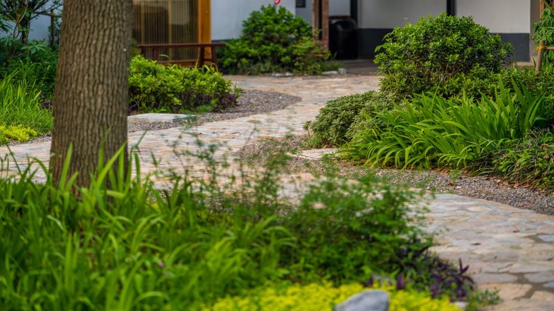 新疆苹果种植的气候条件解析