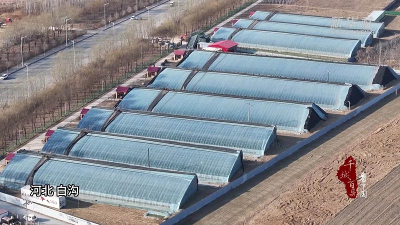 绿色食品认证费用由谁承担